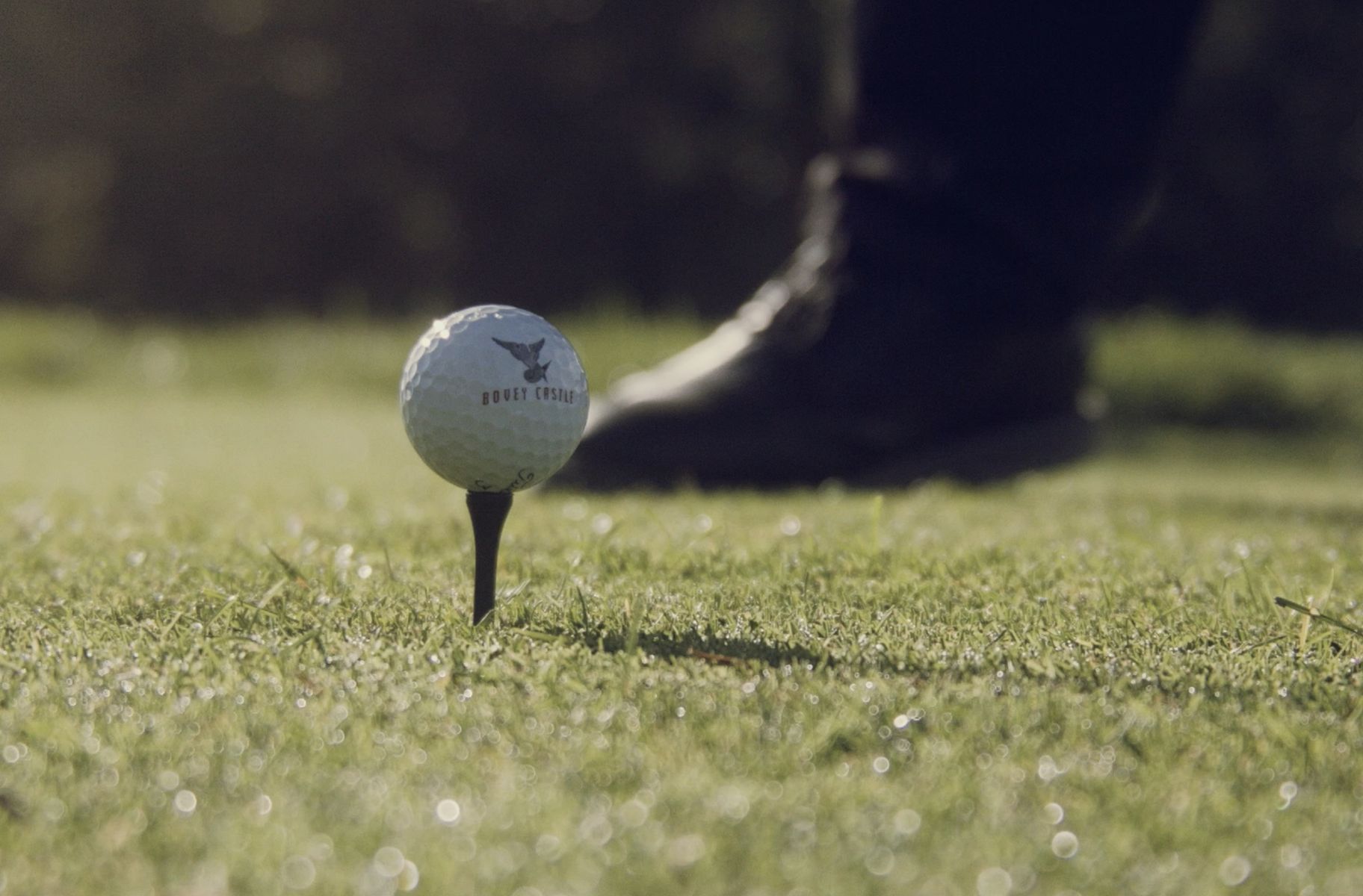 Bovey Castle golf ball 