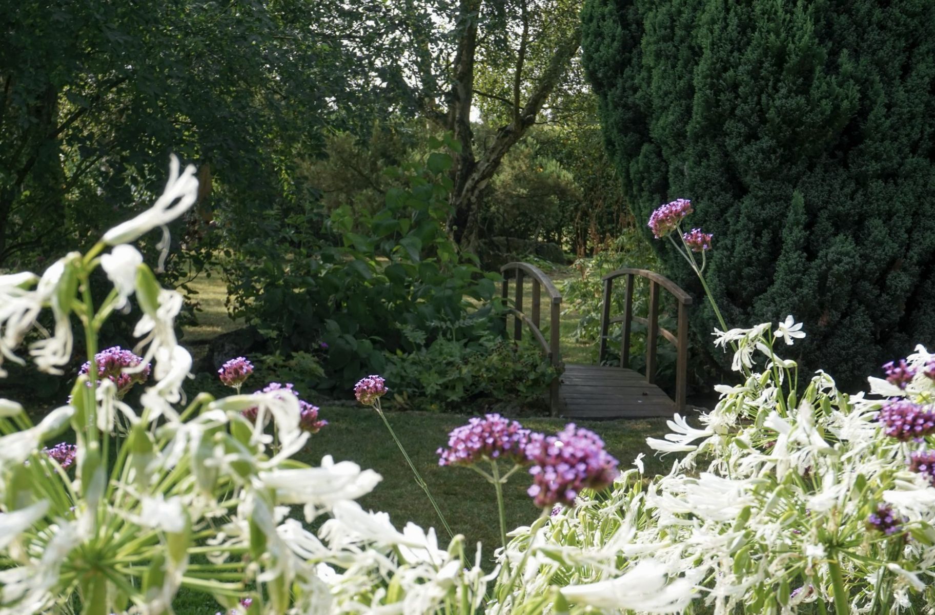 Bovey Castle grounds with flowers 