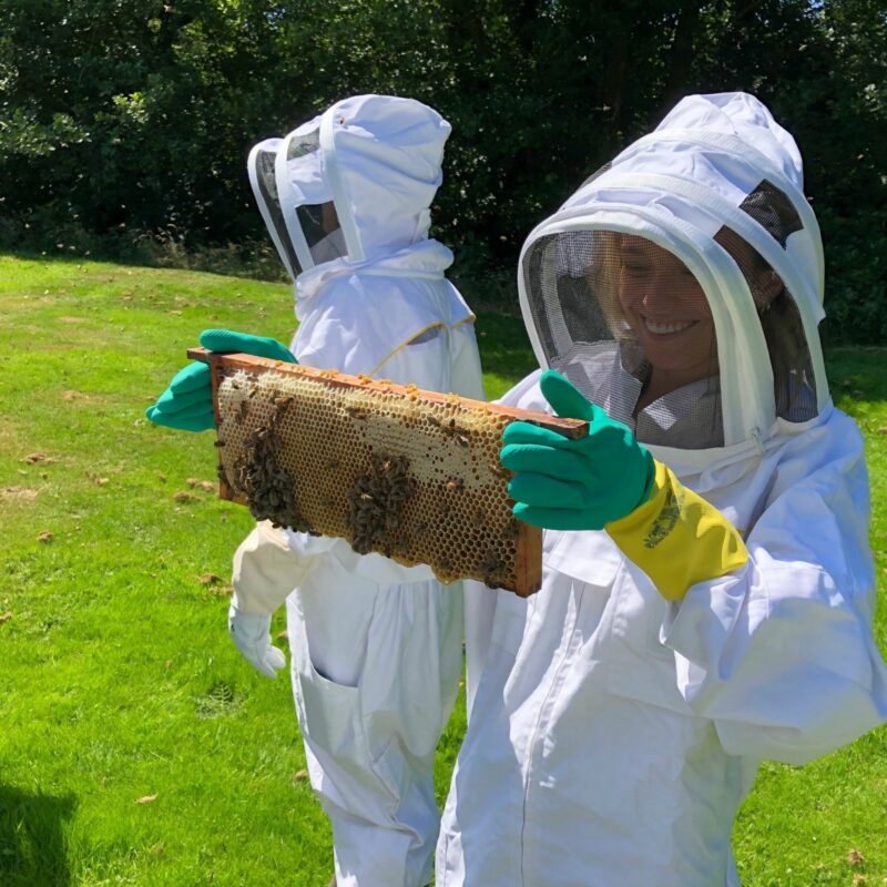 beekeepers holding up apiary draw