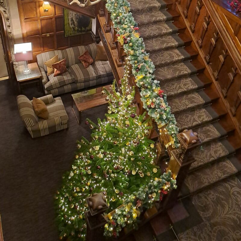 birds eye view with festive decorations and Christmas tree