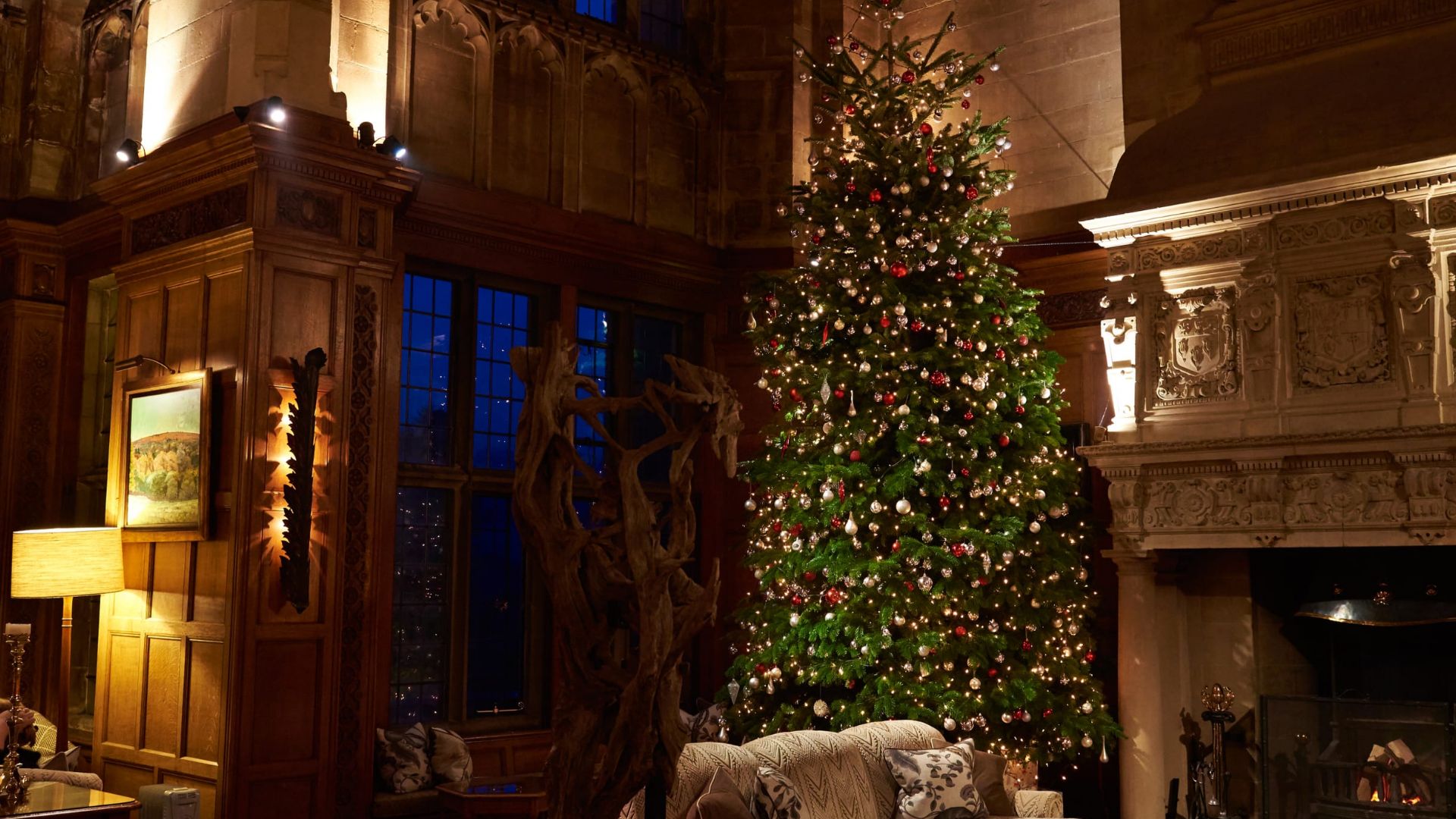 Bovey Christmas tree in main room 