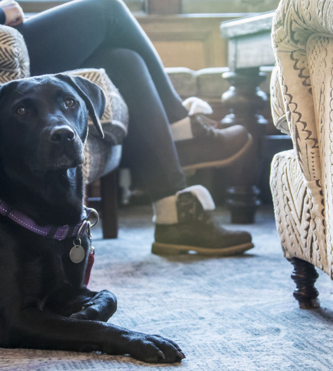 Dog sat down next to owners 