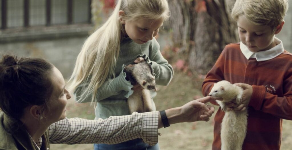 Children interacting with ferrets on a spring break in the uk