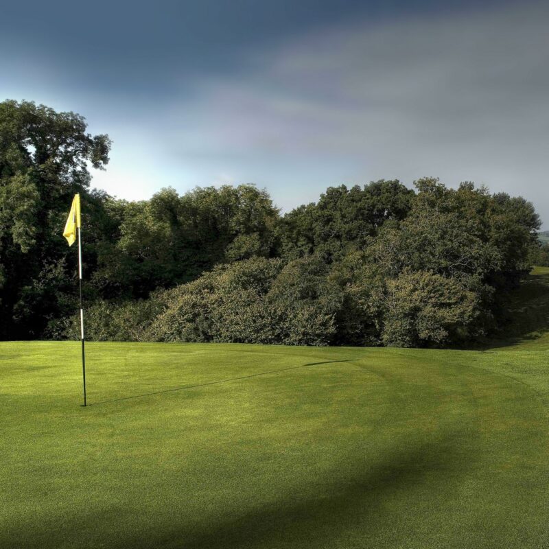 Golf course with flag