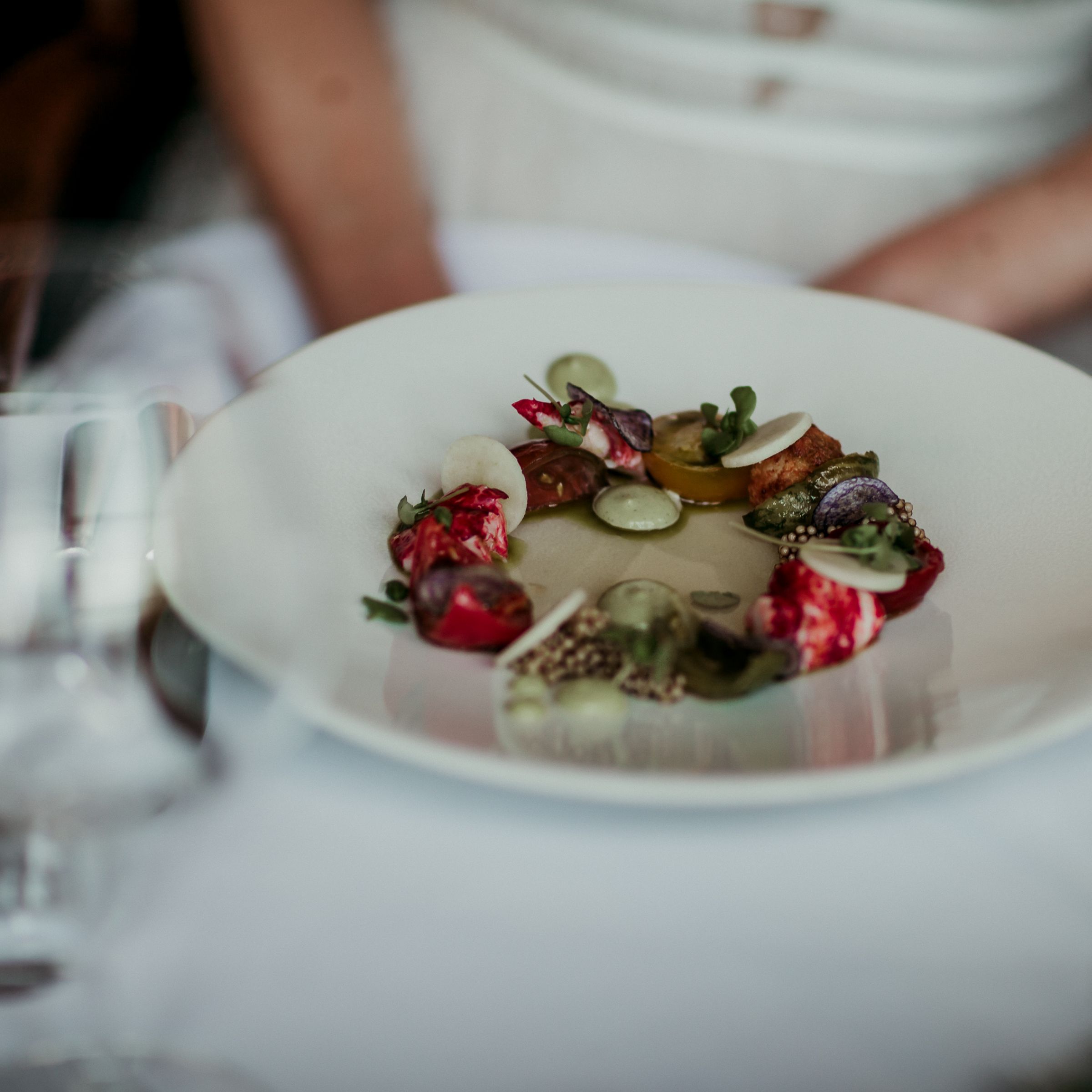 Luxury plate of food 