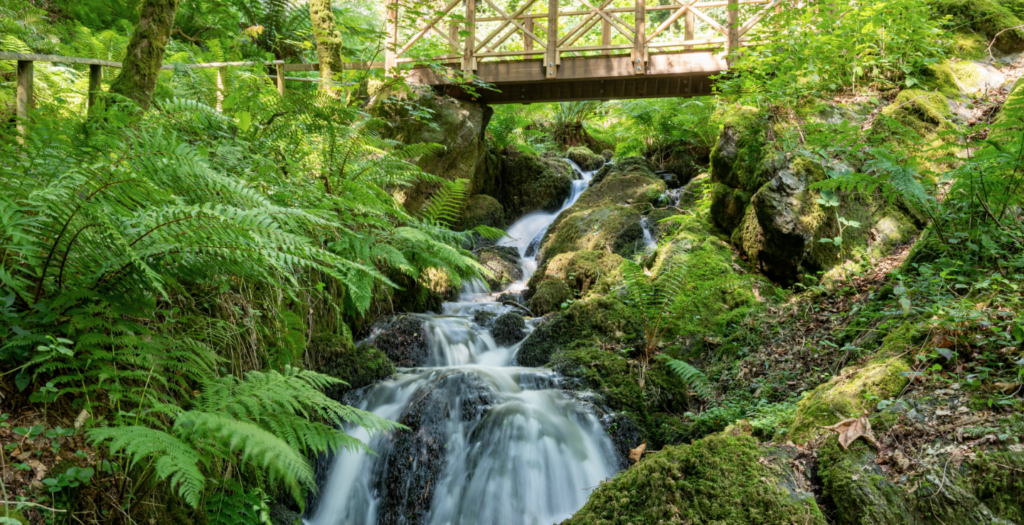 Waterfall under a bridge at Canonteign Falls